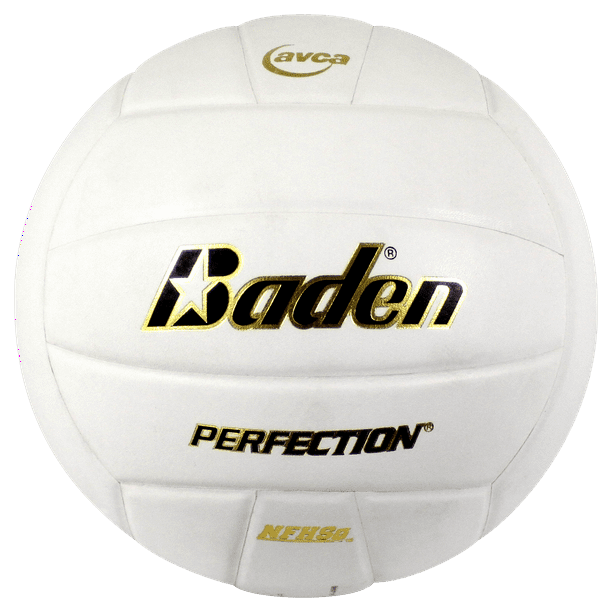 Baden Perfection Leather Volleyball 